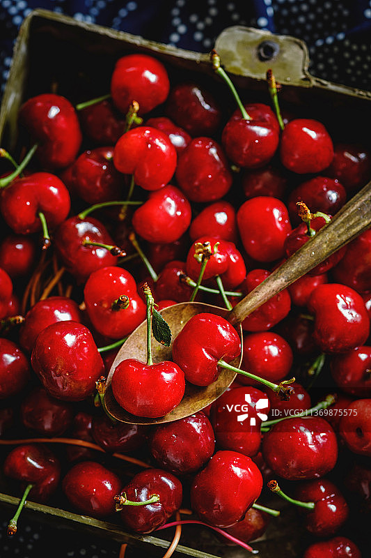 车厘子图片素材