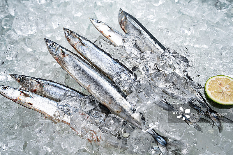 秋刀鱼图片素材