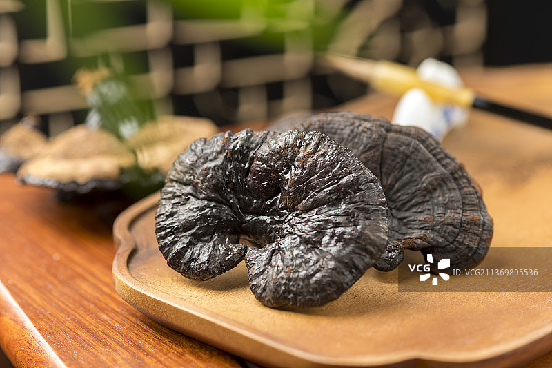 中药灵芝特写图片素材