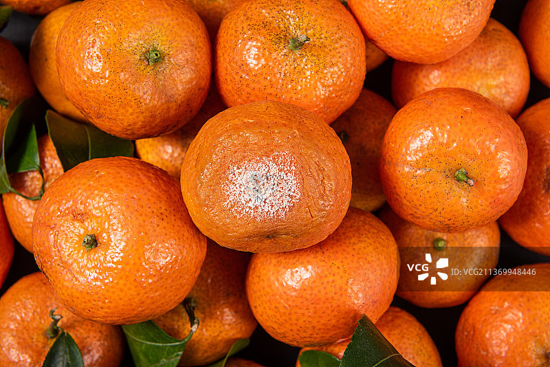 发霉变质的一个砂糖橘图片素材