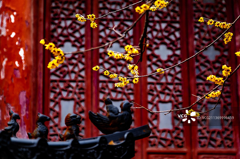 传统文化中的寺庙脊兽和梅花图片素材