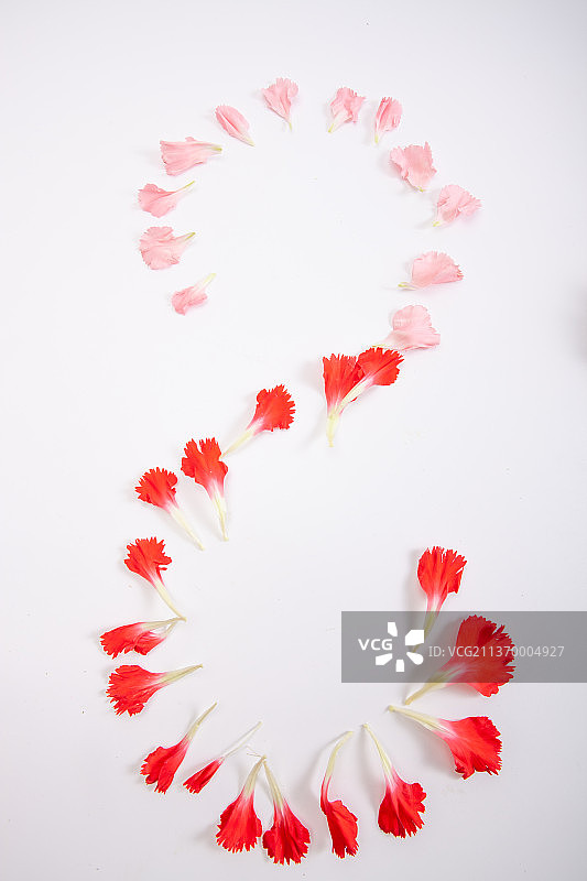 三八国际妇女节鲜花图片素材