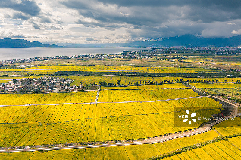 云南大理洱海边田园风光图片素材