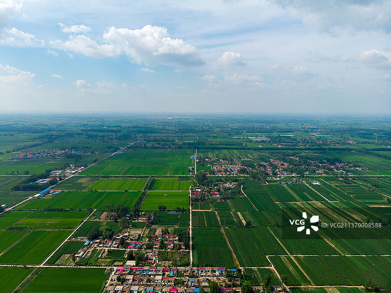 夏季广袤的田野+江苏省徐州市邳州市土山镇图片素材