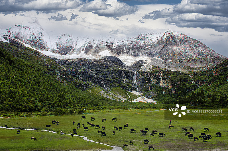 稻城亚丁“央迈勇”雪山图片素材