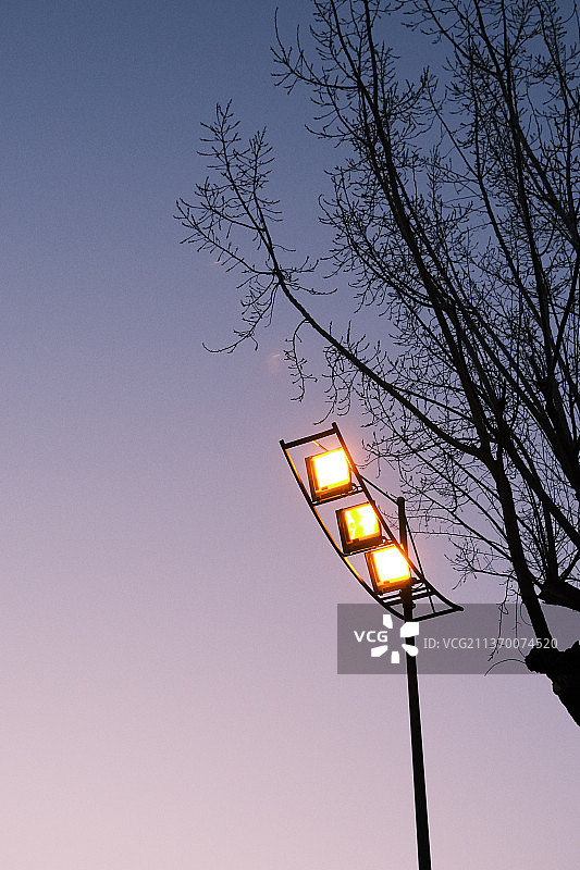 晚霞与灯图片素材