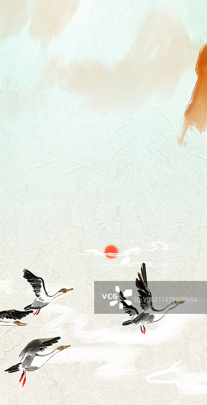 飞翔的大雁图片素材