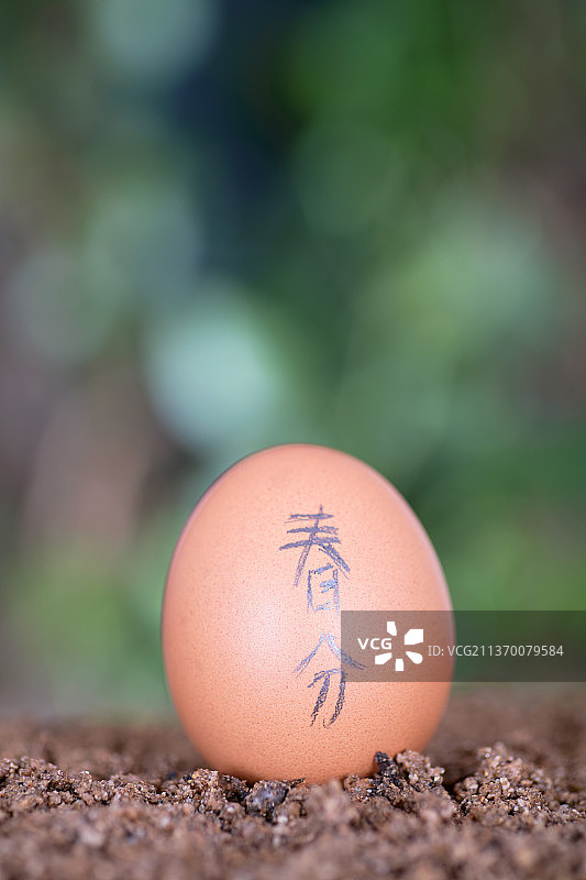 土壤上的鸡蛋上写着春分两个汉字图片素材