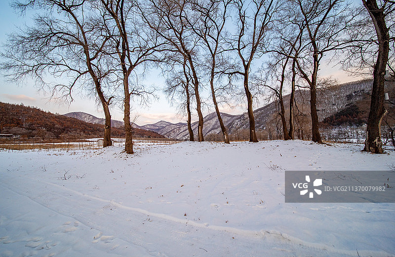 冬季高山下的雪地路面图片素材