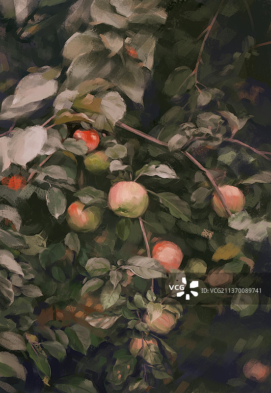 苹果树图片素材