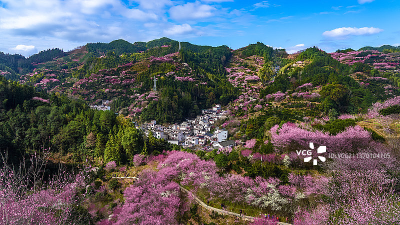 歙县卖花渔村图片素材