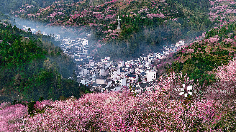 卖花渔村的春天图片素材