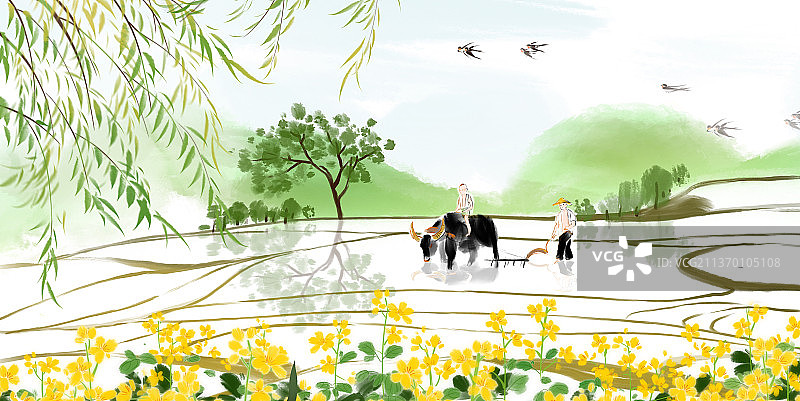 春天梯田图片素材