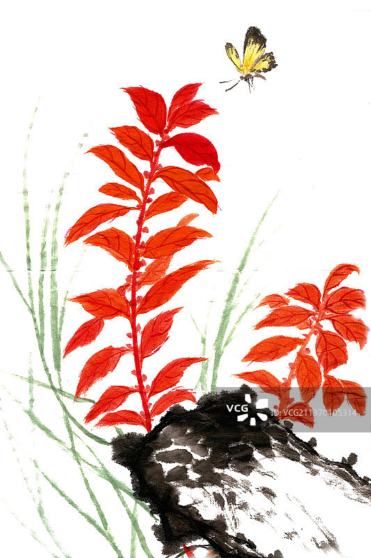 红叶与黄蝴蝶图片素材