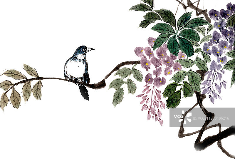 紫藤花与小鸟图片素材
