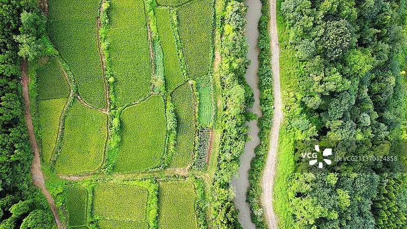 凯江大回湾旁的农田图片素材