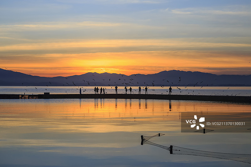 昆明滇池  清晨观鸥图片素材