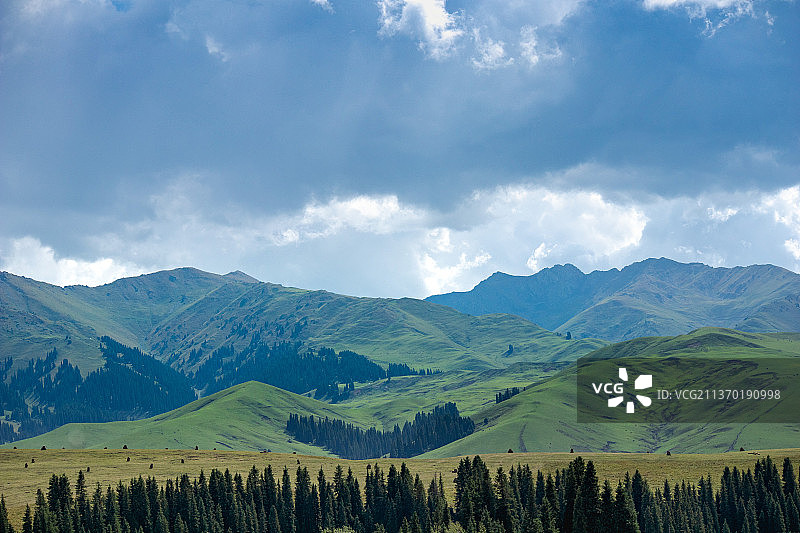 唐布拉草原图片素材