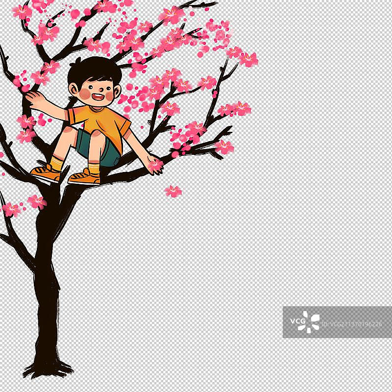小男孩在桃花树上采花图片素材