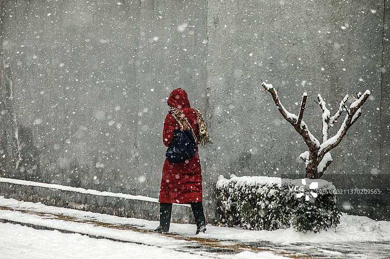 雪中行图片素材