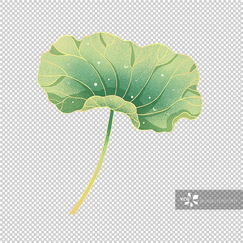 荷叶新中式国潮国风图片素材