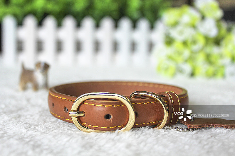 宠物用品狗牵引绳狗项圈狗绳狗拉链图片素材