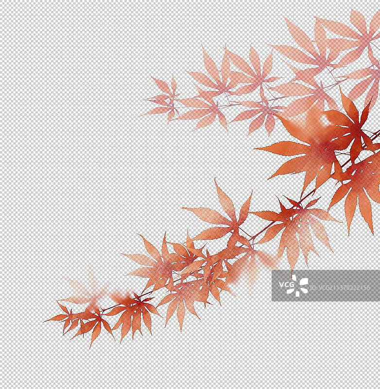红色枫叶素材图片素材