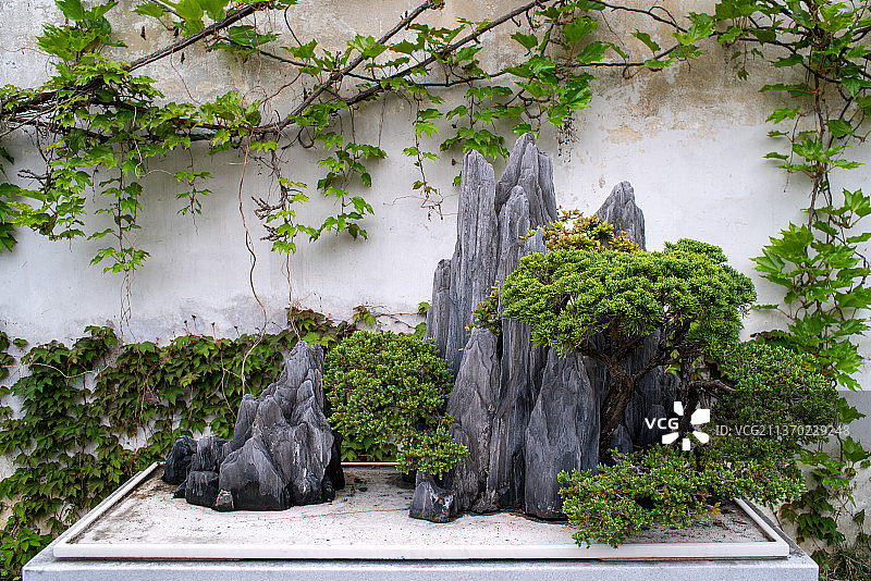 留园里的假山石盆景图片素材