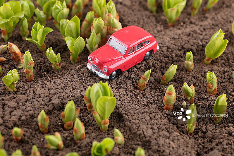 春天户外开车自驾游在乡村图片素材