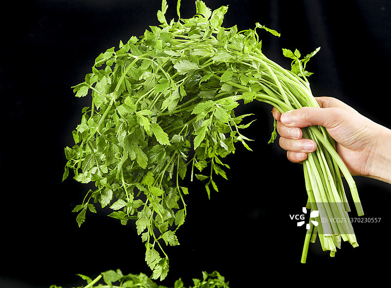 手里拿着水芹菜图片素材