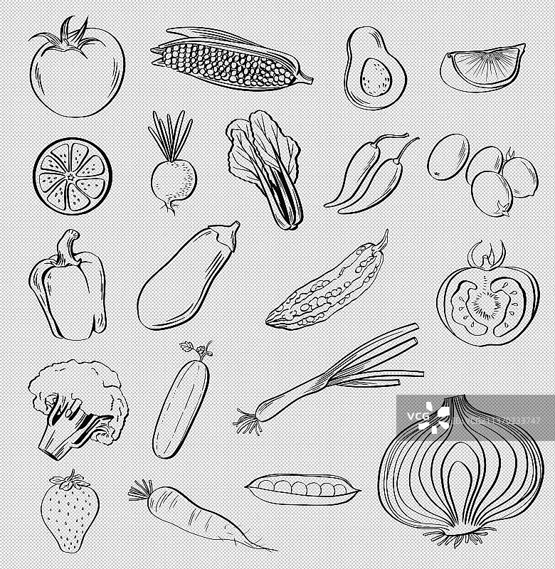 水果蔬菜黑白线描插画图片素材
