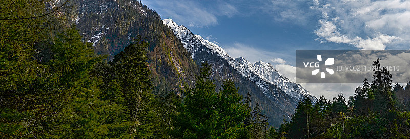 嘎隆拉山林图片素材