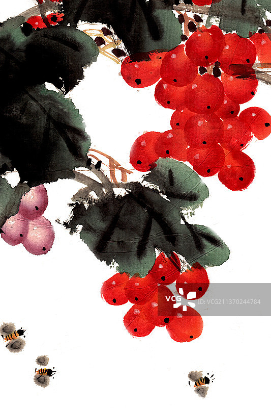 葡萄下的蜜蜂图片素材