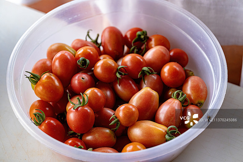 小个成熟的红色番茄，碗中番茄特写图片素材