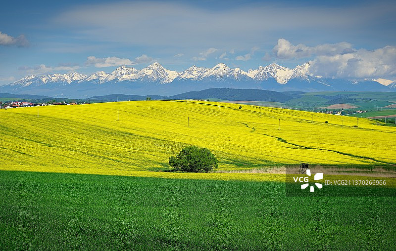 塔特拉山脉的夏季田园风光图片素材