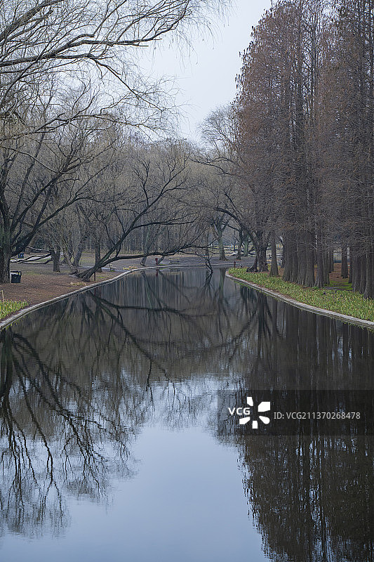 上海共青森林公园河流树林倒影图片素材