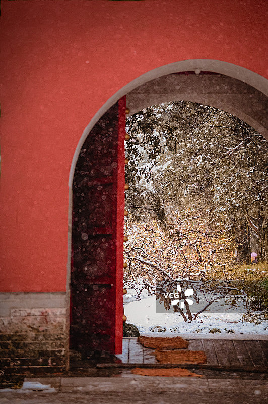 明孝陵雪中的腊梅和红墙图片素材
