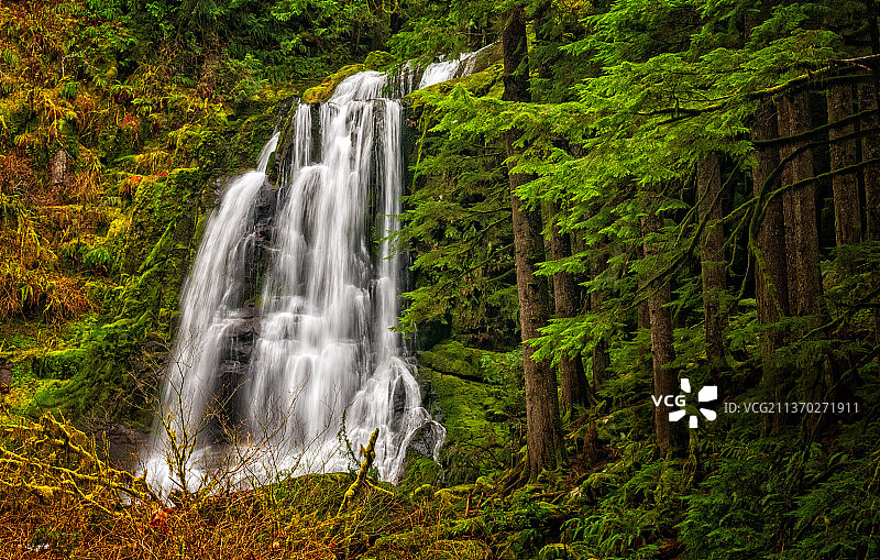 肯塔基瀑布 II，森林瀑布的风景图片素材