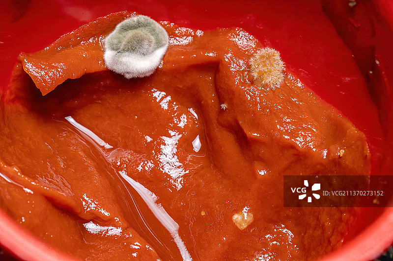碗里发霉的番茄酱特写图片素材