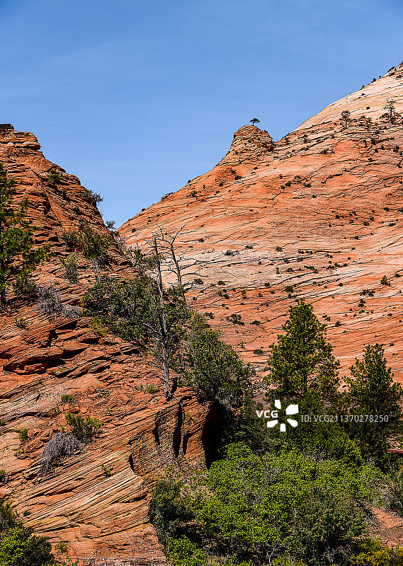 在天空的衬托下，落基山脉的景色图片素材