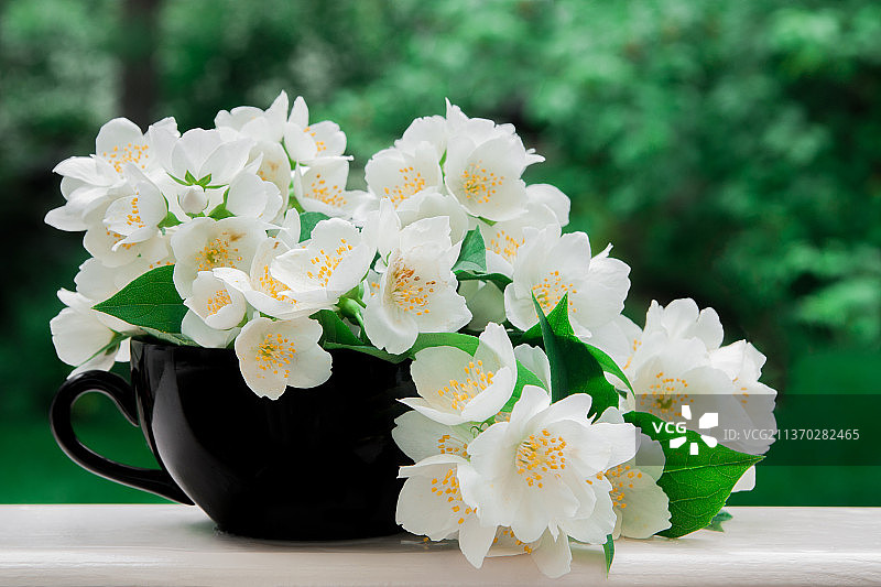黑色杯子里的茉莉花图片素材