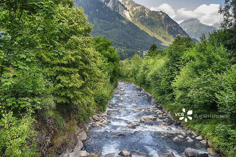 森林中树木间的溪流风景图片素材
