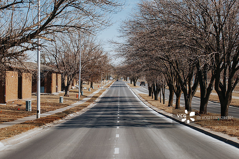 光秃秃的树木旁的空旷道路图片素材