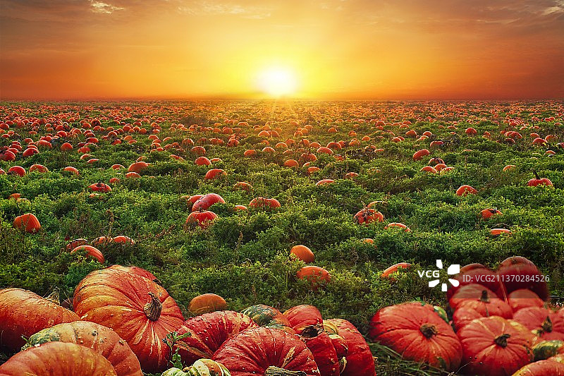 日落时天空映衬下的风景图片素材