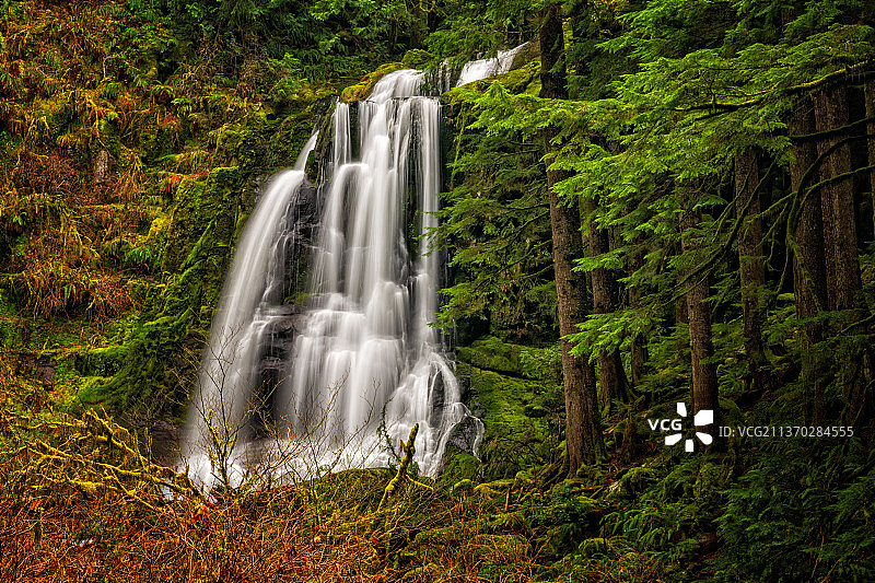 肯塔基瀑布 III，森林瀑布的风景图片素材