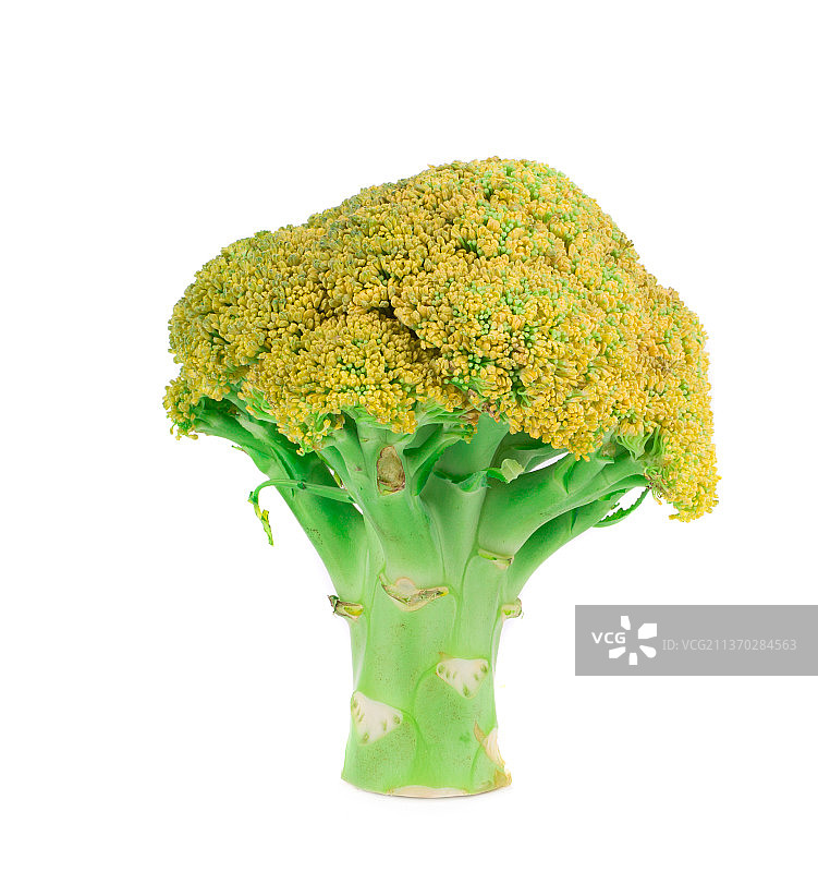 新鲜绿色西兰花特写，白色背景，摩尔多瓦图片素材