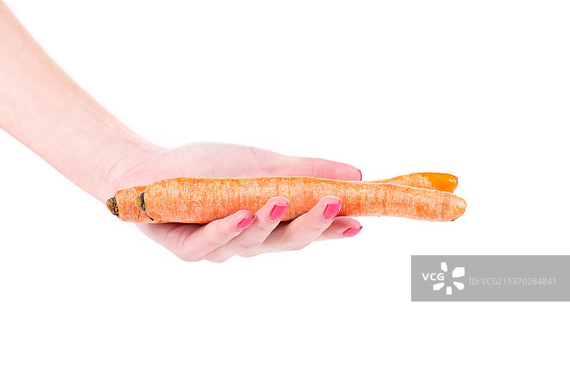 手持一束胡萝卜，摩尔多瓦图片素材