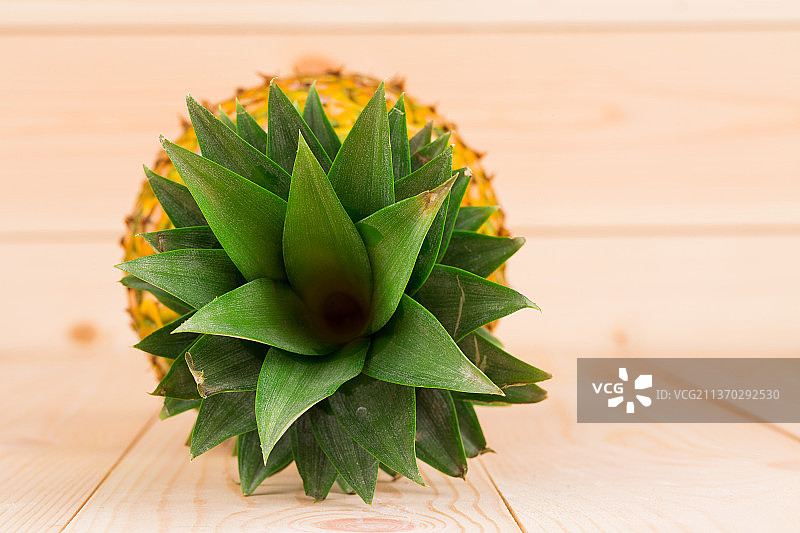 新鲜成熟的菠萝俯视图图片素材