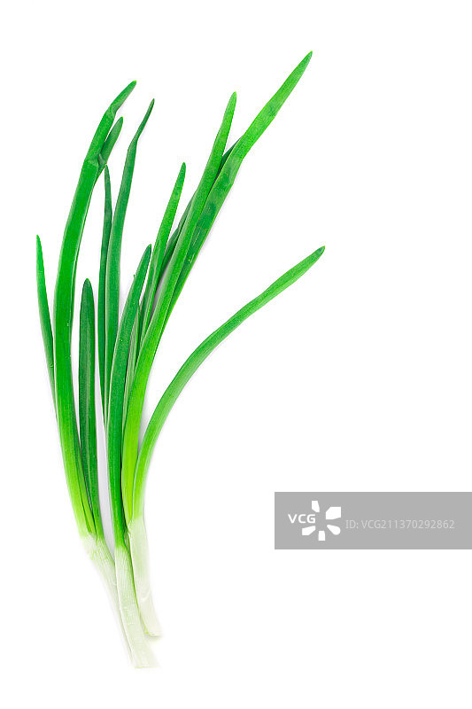 美丽的春天洋葱，白色背景下的大葱特写，摩尔多瓦图片素材