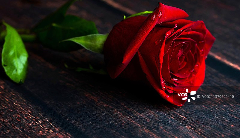 等待情人节，桌上的红色玫瑰特写图片素材